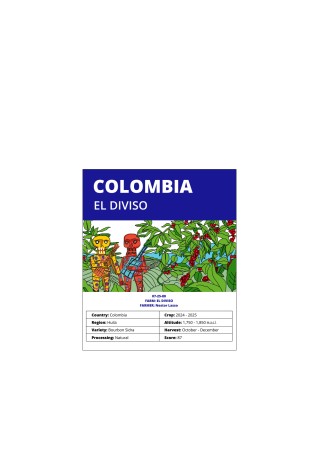 el divisio ulotka.jpg